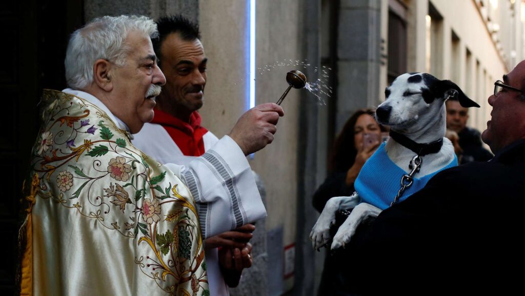 Благословение домашних животных San Antonio Abad.© AP / Alvaro Barrientos