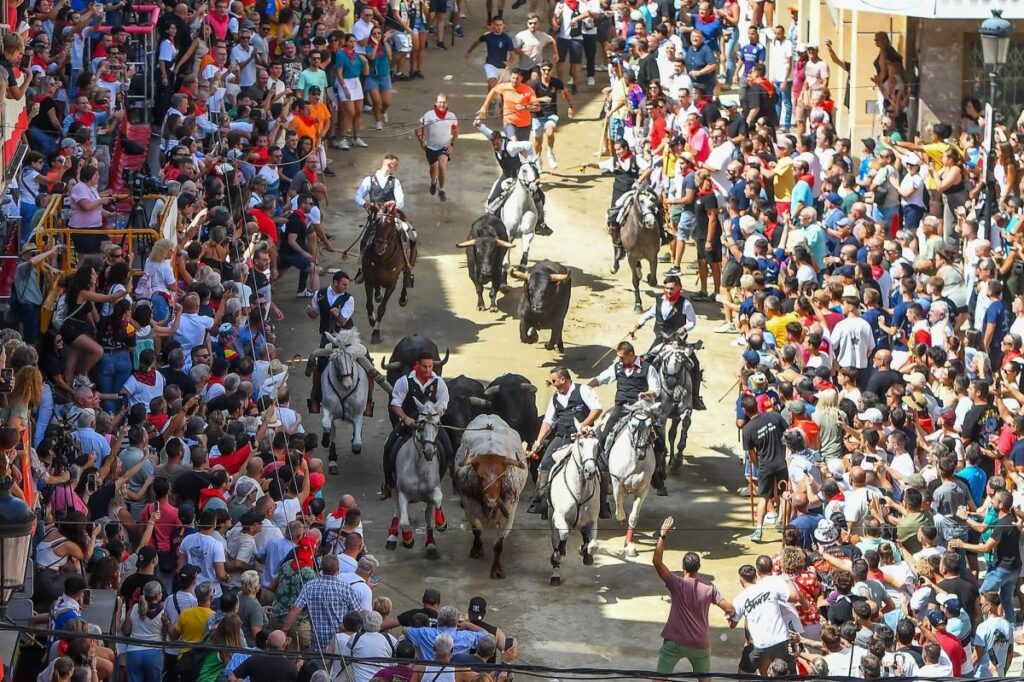 Entrada de Toros y Caballos — знаменитый забег быков и всадников по улице Колон в Сегорбе.
