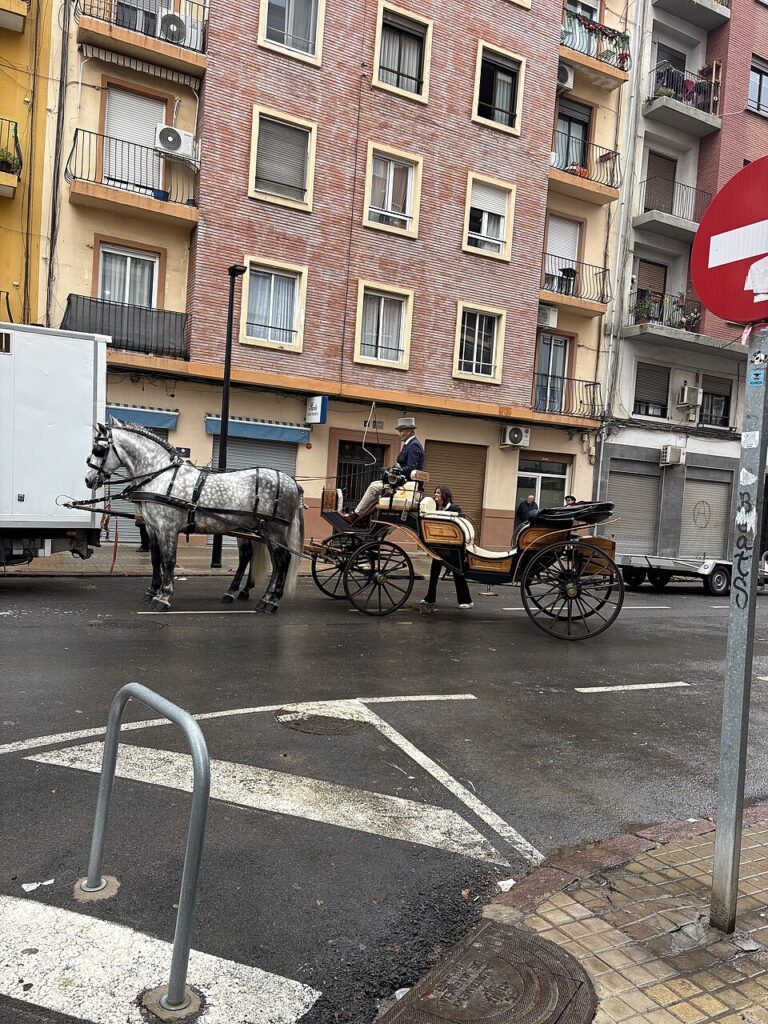 Благословение домашних животных San Antonio Abad. Автор: 19Tarrestnom65